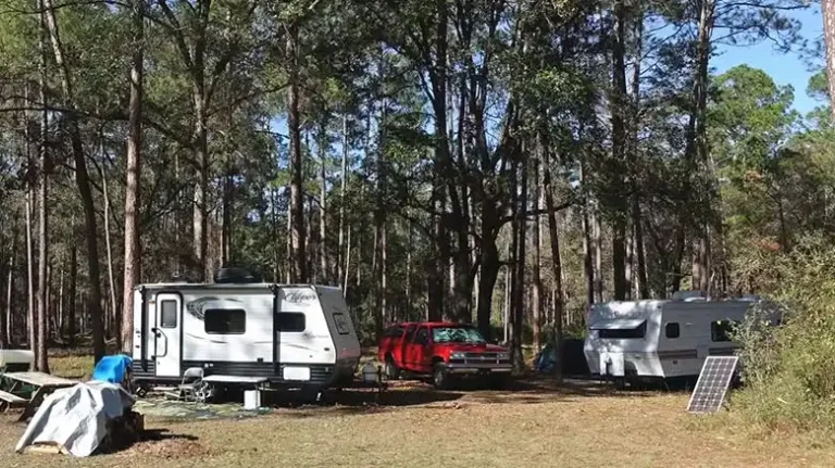 Free Florida Bayside Camping (This Secret Spot is Breathtaking!)